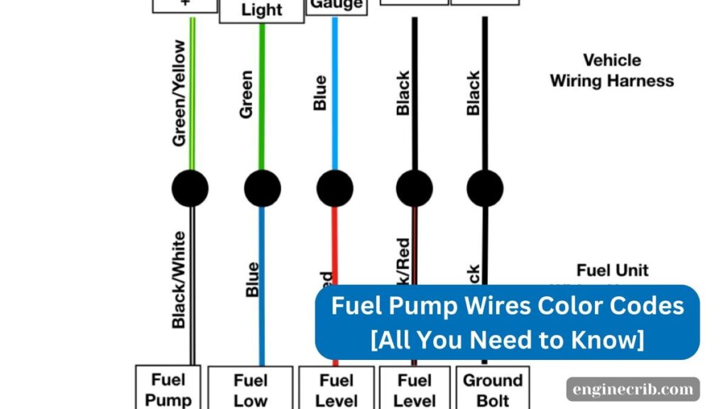 Fuel Pump Wires Color Codes